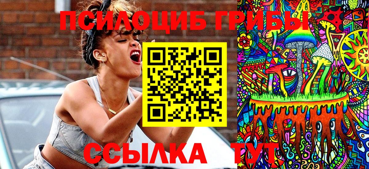 Псилоцибиновые грибы Psilocybe Оренбург