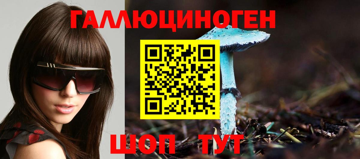 Галлюциногенные грибы Psilocybine cubensis  Вход с VPN  Оренбург  Галлюциногенные грибы MAGIC MUSHROOMS 